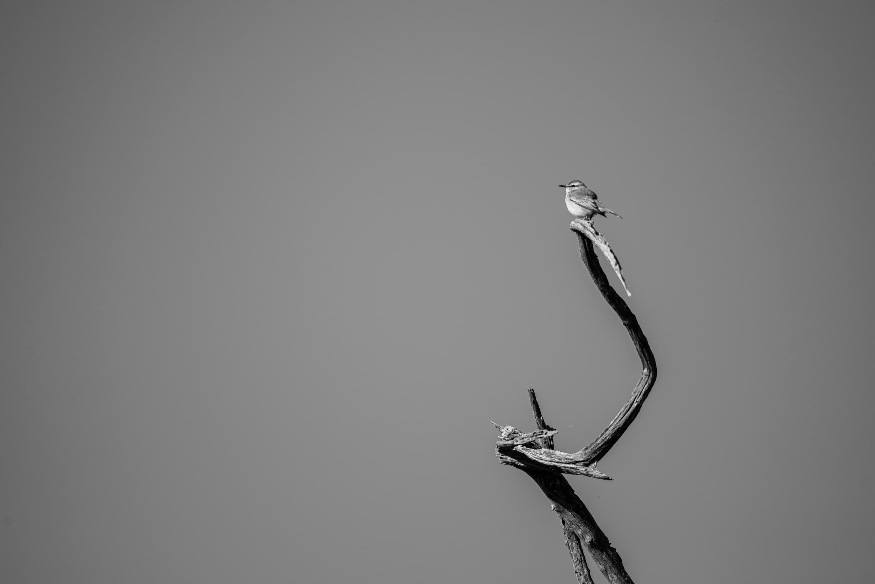 Male stvari